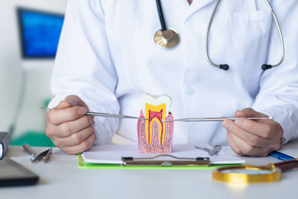 Best Emergency Wisdom Teeth Removal in Slayton, MN